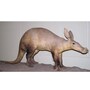 aardvark