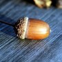 acorn