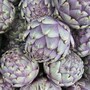 artichoke