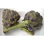 artichoke