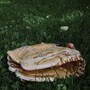 baseball_glove