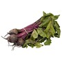 beets