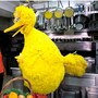 big_bird
