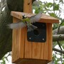 birdhouse