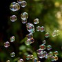 bubbles