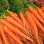carrots