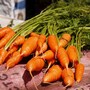 carrots