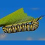 caterpillar