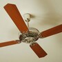 ceiling_fan
