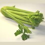 celery