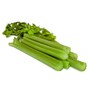 celery