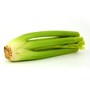 celery