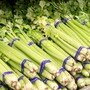 celery