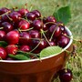 cherries