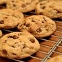chocolate_chip_cookie