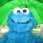 cookie_monster