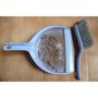 dustpan_and_brush