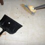 dustpan_and_brush