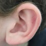 ear