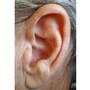ear