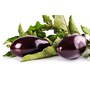 eggplant