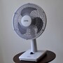 fan