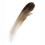 feather