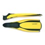 flippers