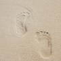footprint