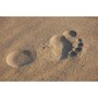 footprint