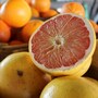 grapefruit