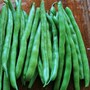 green_beans