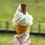 ice_cream_cone