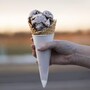 ice_cream_cone