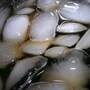 ice_cubes