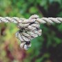 knot