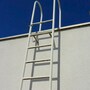 ladder