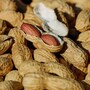 peanuts