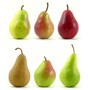 pear
