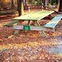 picnic_table