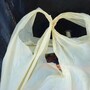 plastic_bag