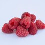 raspberry