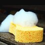 sponge