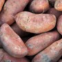 sweet_potato