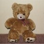 teddy_bear