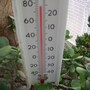 thermometer