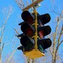 traffic_light
