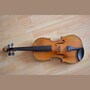 violin