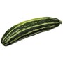 zucchini